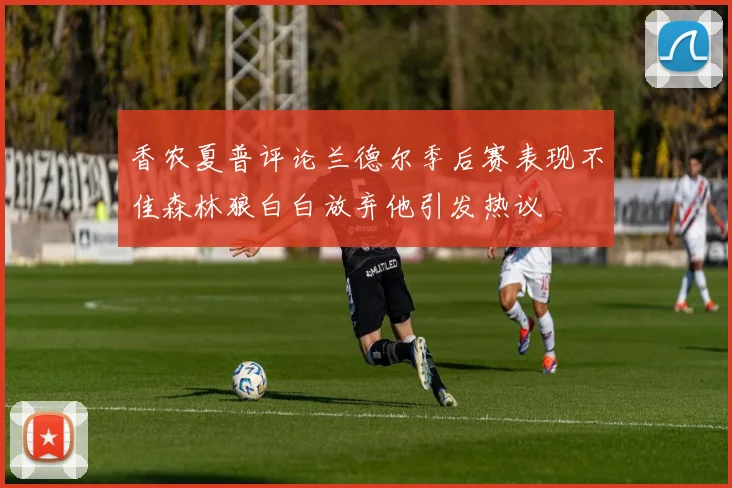 香农夏普评论兰德尔季后赛表现不佳森林狼白白放弃他引发热议